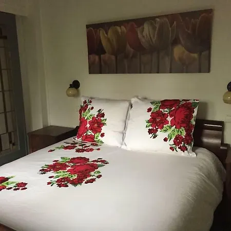 Noorderpark Bed & Breakfast *