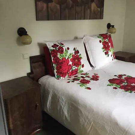 Bed & Breakfast Noorderpark