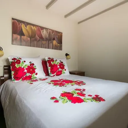 Noorderpark Bed & Breakfast Amsterdam